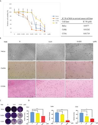 Combined treatment of marizomib and cisplatin modulates cervical cancer growth and invasion and enhances antitumor potential in vitro and in vivo